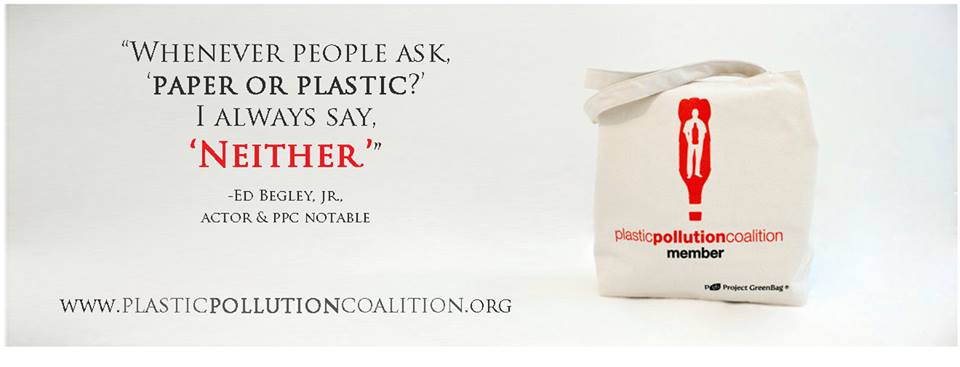 Plastic pollution essay topics