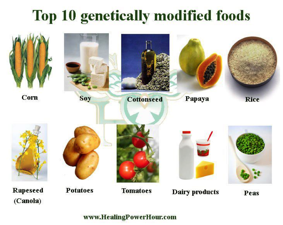 Why are genetically modified organisms bad? | SiOWfa15: Science in Our