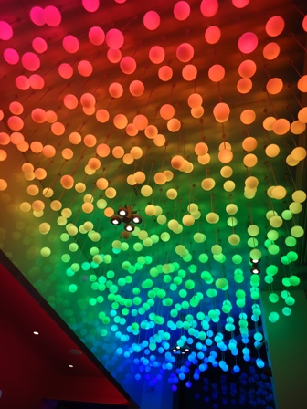 Snogs Ceiling