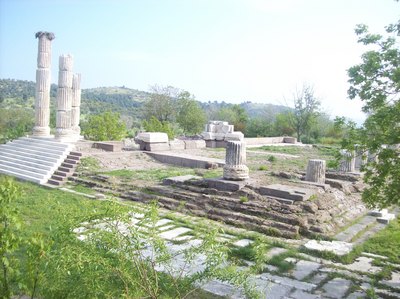 Overview of Temple of Sminthion Apollo.JPG