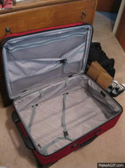 suitcase.gif