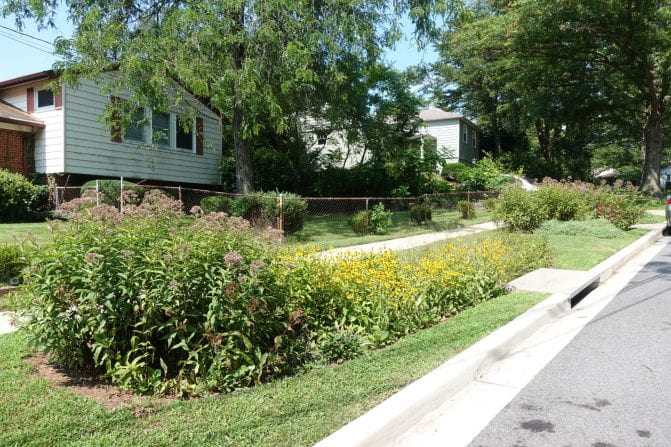 Green street rain gardens can prompt positive and negative public reactions, and these reactions often relate to social values. (Photo by Alex Kim)