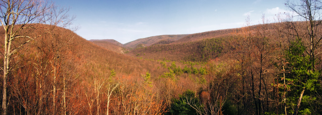 https://upload.wikimedia.org/wikipedia/commons/6/6c/Bald_Eagle_State_Forest_Valley.jpg