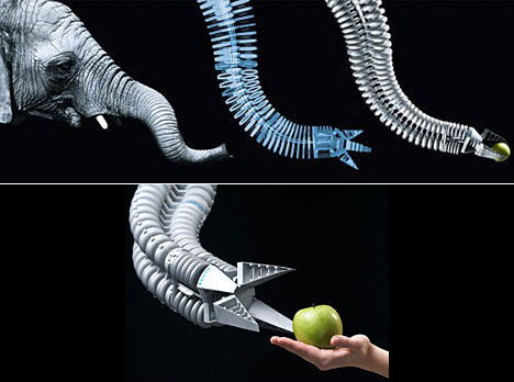 Robotic Arm Inspired By Elephant Trunk | Alqudaihy's Design Blog