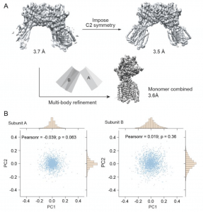 Single-particle-cryo-EM-beyond-the-resolution