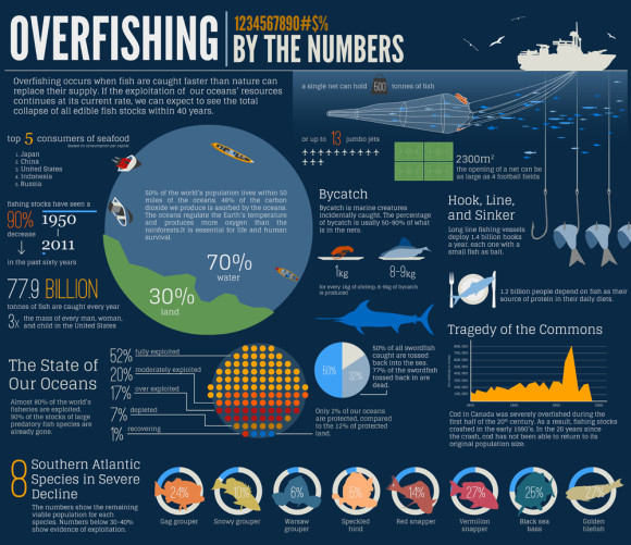 overfishing-infographic