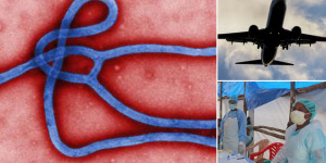 The ebola virus could land in New Zealand soon.