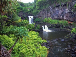 Maui-Waterfall