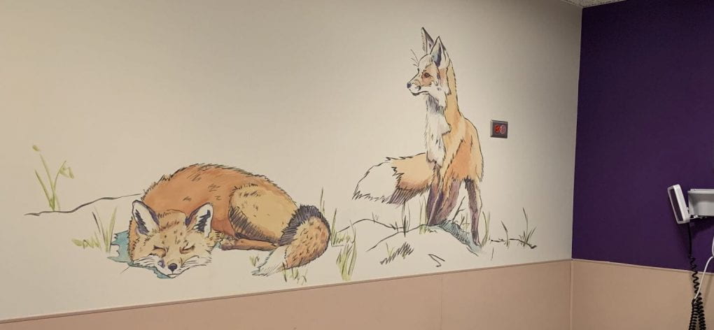 2 fox grace tis wall in the Pediatric Specialty Clinic