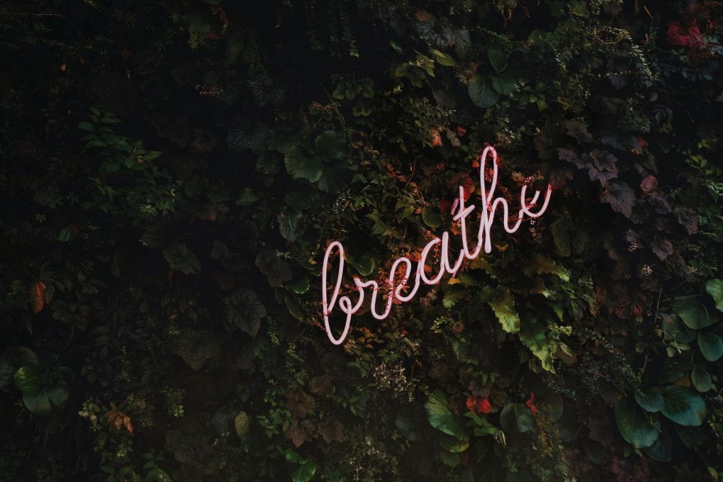 Neon letters spelling "breathe" in front of a wall of ivy