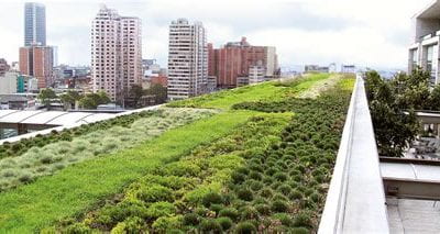 Analyzing Drainage Effects on Heat Transfer Through a Crumb Rubber Media for Green Roofs
