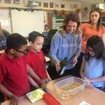 Berks students teach the next generation about sustainability concepts