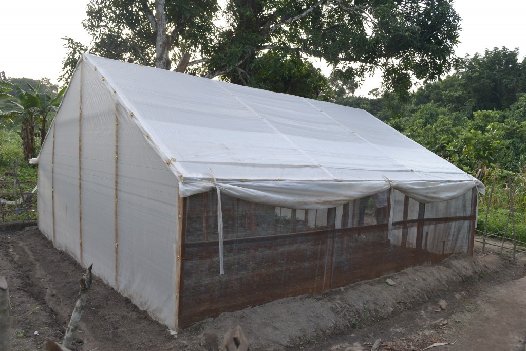 GRO Greenhouses - Sierra Leone