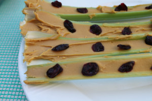 Ants-on-a-log-with-Craisins-for-a-healthy-snack