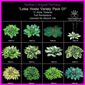 OneDom Textures-Hosta Pack01-Display-T000146-512 v2