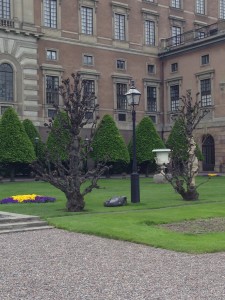 Day 4: Husqvarna spotted in the Royal Palace gardens!