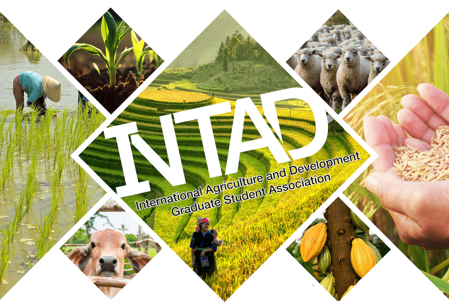 International Agriculture and Development (INTAD) Graduate Student Association (GSA)