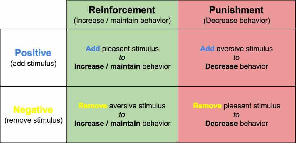 Types Of Reinforcement And Punishment Worksheet Answer Key