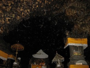 batu-cave-temple-look-closely-for-the-bats-candidasa