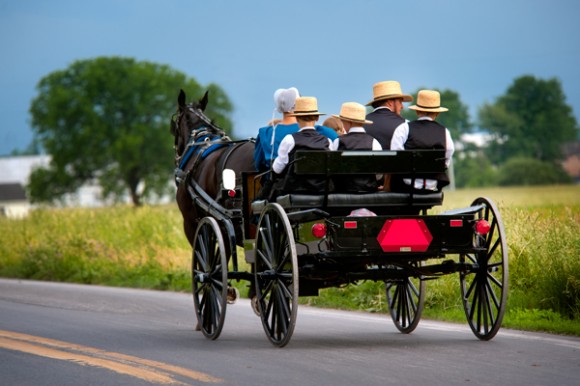 amish-family-buggy-ride