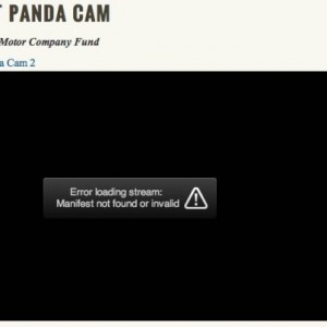 Panda Cam Furloughed
