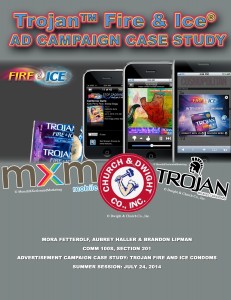 Fire and Ice Case Study