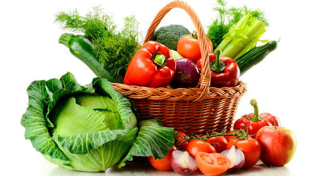 Just Plants – Vegetarian Diets