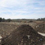 photo of rows of material in the compost piles