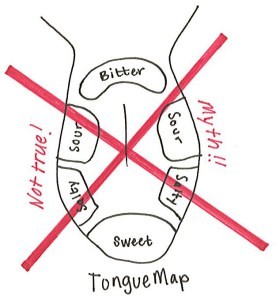Tongue-Map-Myth