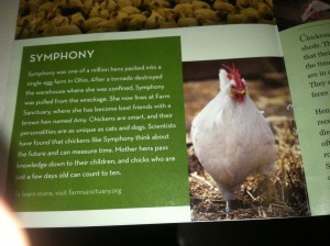 Symphony the Chicken RCL post