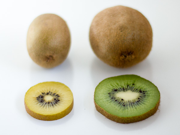 Kiwi Green Kiwi: is What Difference? SunGold vs the