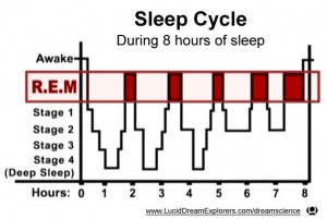 sleep_cycle_REM_8_hour_graph