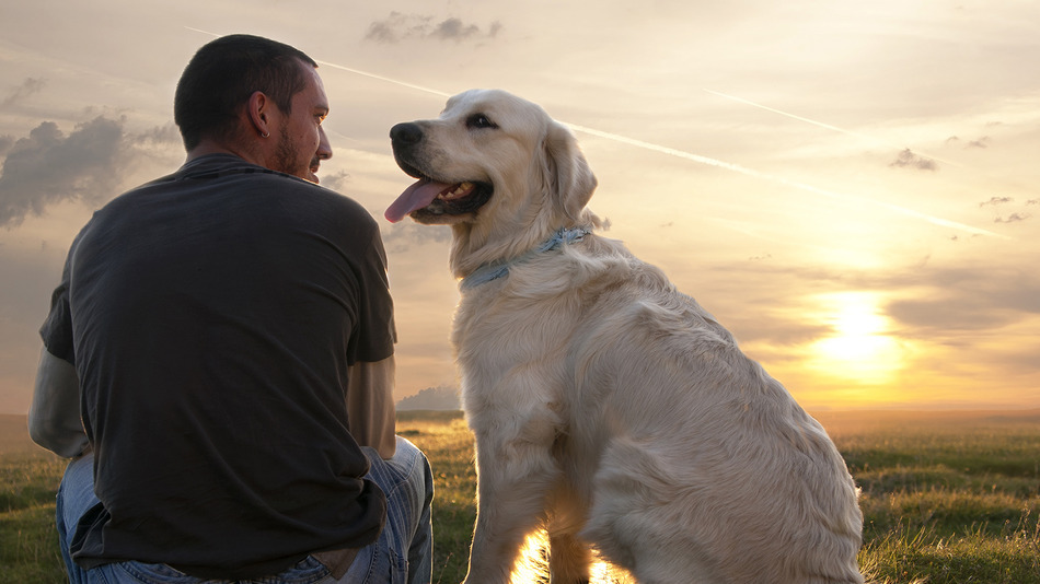 Are Dogs Really Mans Best Friend? | SiOWfa14 Science in Our World:  Certainty and Cont