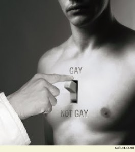 gay not gay