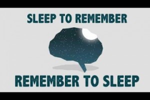 sleep-memory-video-360x240