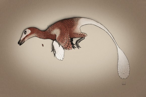 dead velociraptor