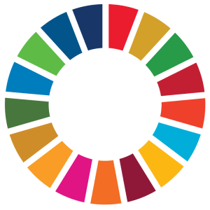 UN Sustainable Development Goals Emblem