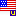 American Flag with U