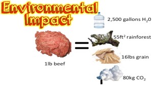 the-environmental-impact-of-diet