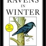 Ravens in Winte book cover