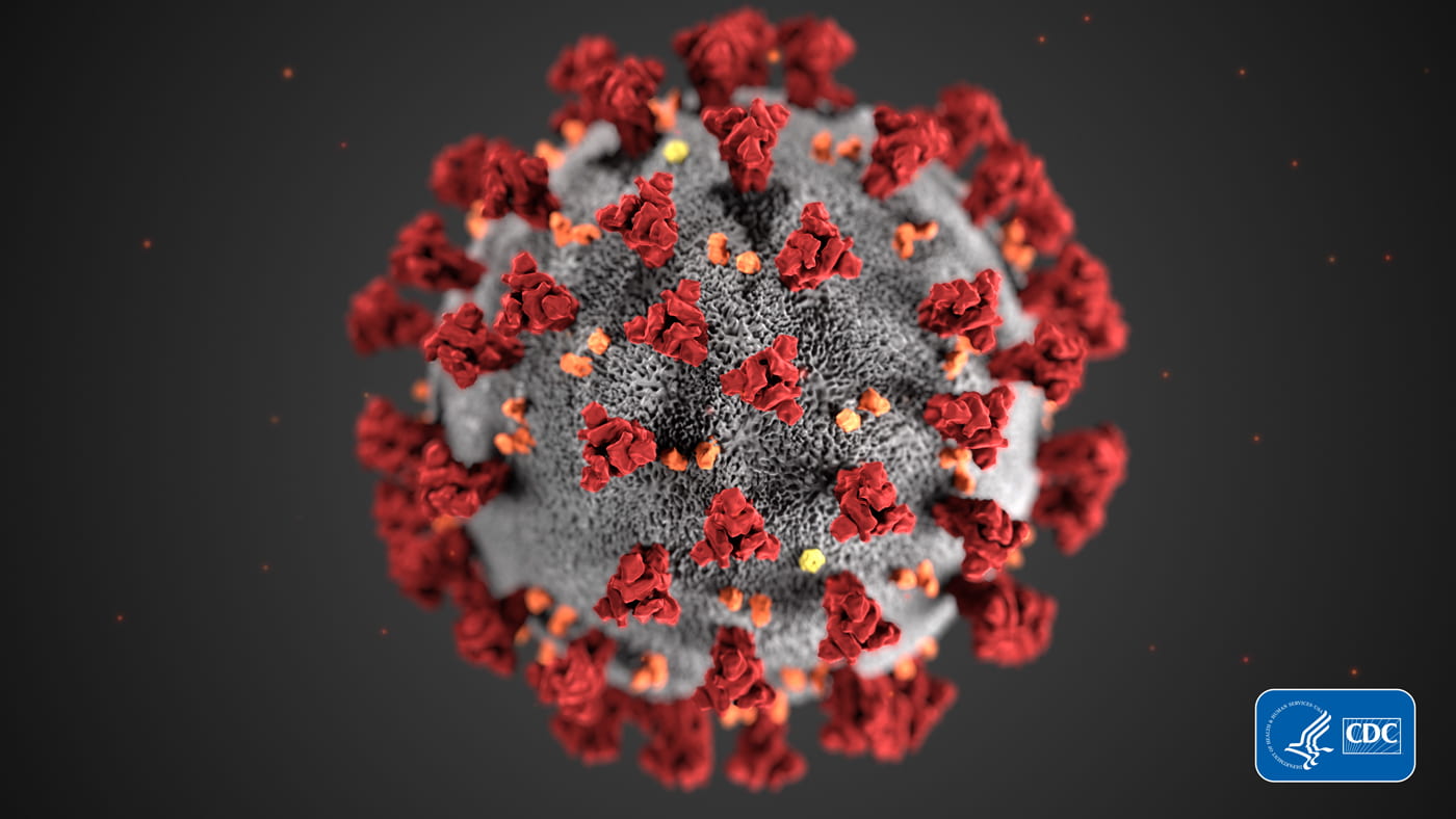 A CDC Illustration of a coronavirus.