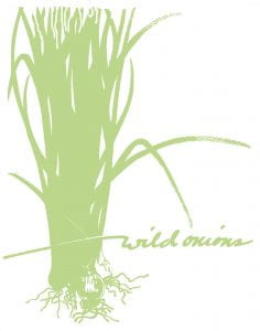 block drawing of fresh picked wild onions in shades of green with scrolling text winding past spelling out Wild Onions