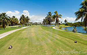 golf-course-tee-box-16075543
